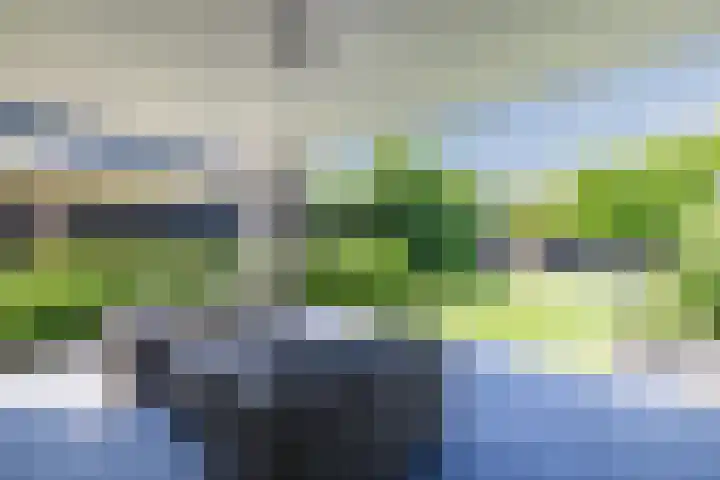 Eekhoorn 14 Hoogeveen thumbnail 104