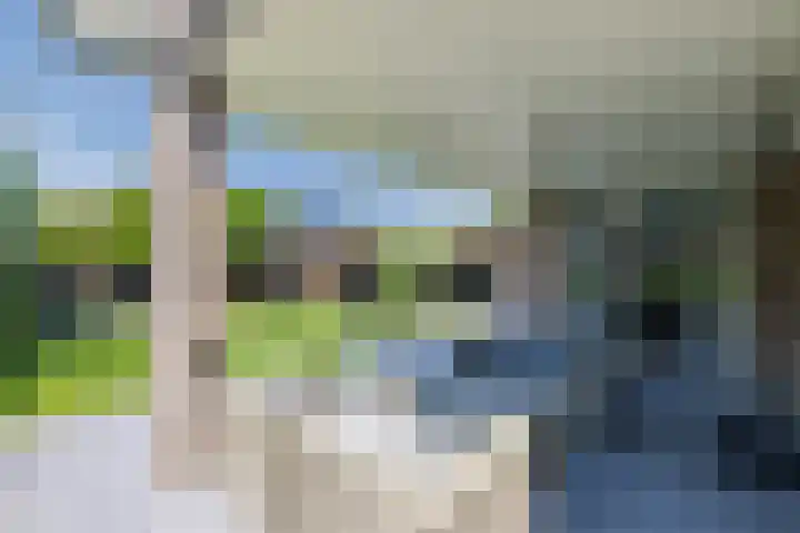 Eekhoorn 14 Hoogeveen thumbnail 105