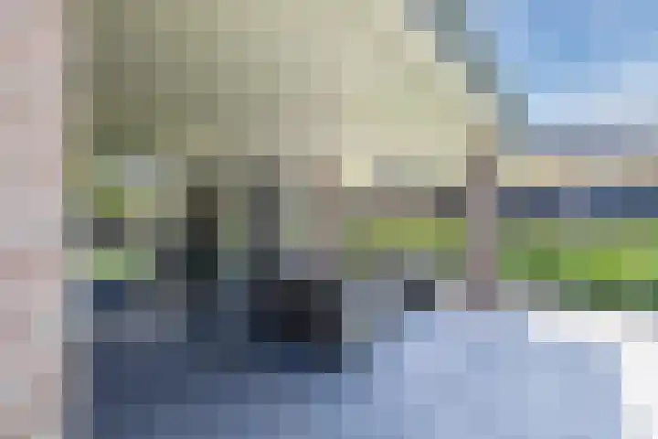 Eekhoorn 14 Hoogeveen thumbnail 106