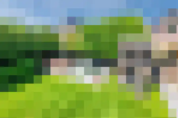 Eekhoorn 14 Hoogeveen thumbnail 107