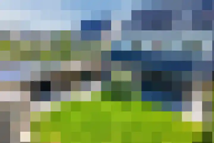 Eekhoorn 14 Hoogeveen thumbnail 108