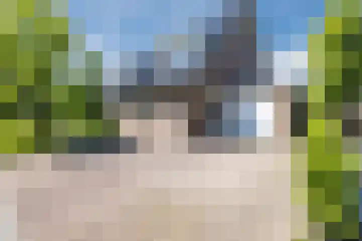 Eekhoorn 14 Hoogeveen thumbnail 11