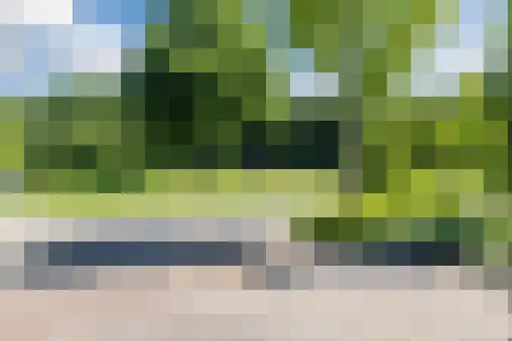 Eekhoorn 14 Hoogeveen thumbnail 110