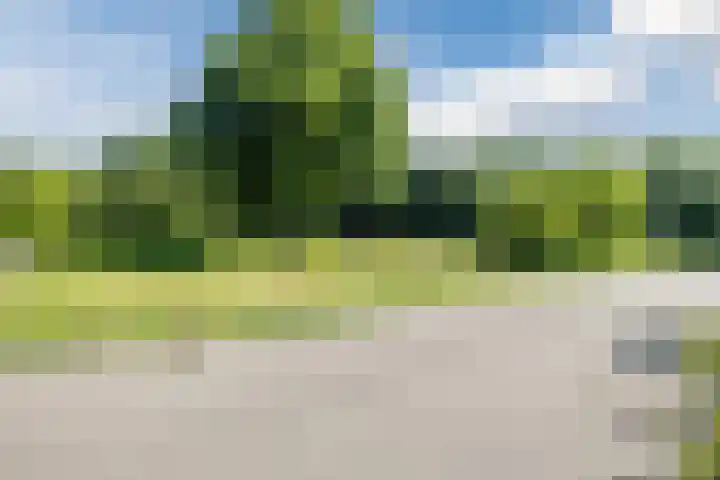 Eekhoorn 14 Hoogeveen thumbnail 111