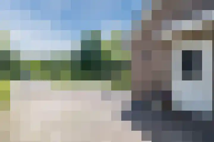 Eekhoorn 14 Hoogeveen thumbnail 12