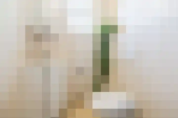 Eekhoorn 14 Hoogeveen thumbnail 15