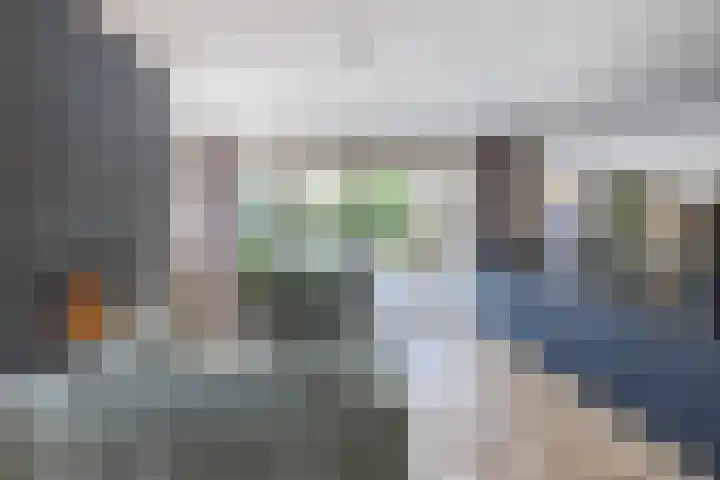 Eekhoorn 14 Hoogeveen thumbnail 16