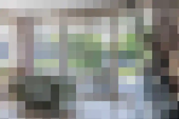 Eekhoorn 14 Hoogeveen thumbnail 18