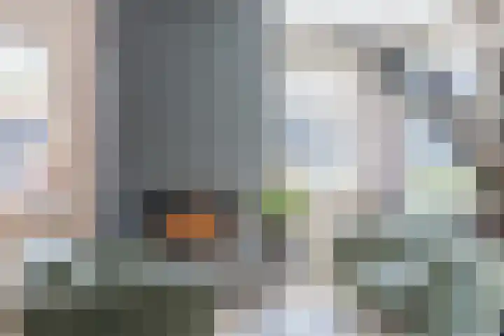Eekhoorn 14 Hoogeveen thumbnail 19