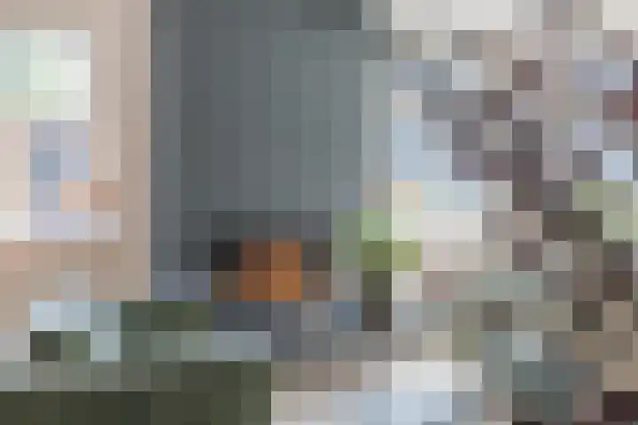 Eekhoorn 14 Hoogeveen thumbnail 20