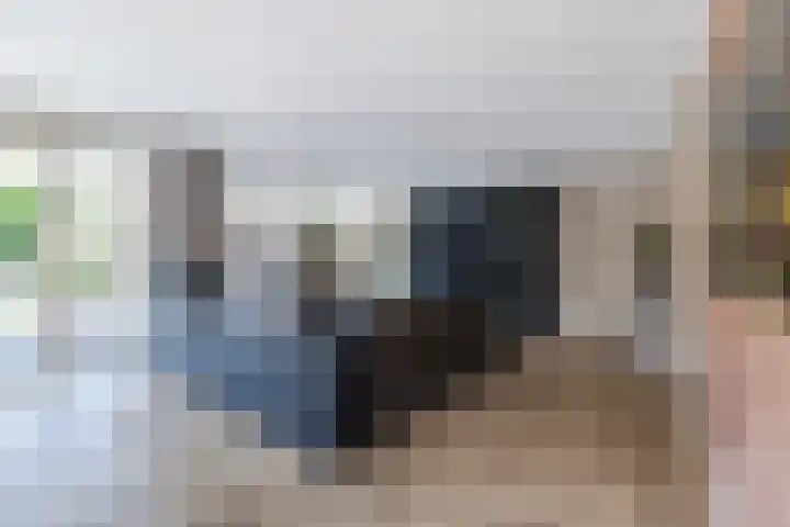 Eekhoorn 14 Hoogeveen thumbnail 21