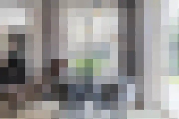 Eekhoorn 14 Hoogeveen thumbnail 26
