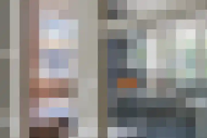Eekhoorn 14 Hoogeveen thumbnail 29