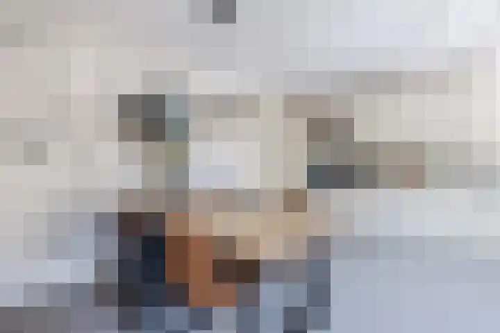 Eekhoorn 14 Hoogeveen thumbnail 30