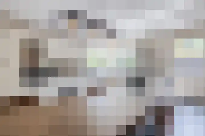 Eekhoorn 14 Hoogeveen thumbnail 31