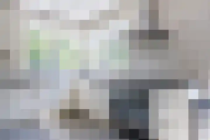 Eekhoorn 14 Hoogeveen thumbnail 32