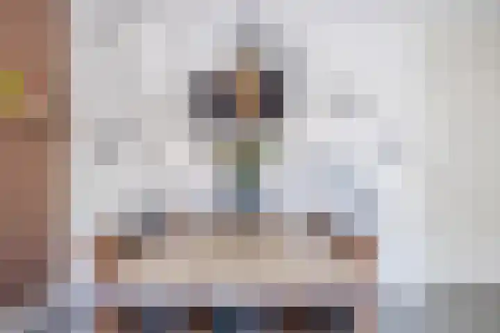 Eekhoorn 14 Hoogeveen thumbnail 34