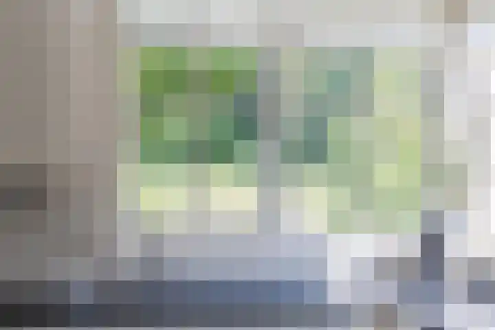 Eekhoorn 14 Hoogeveen thumbnail 35