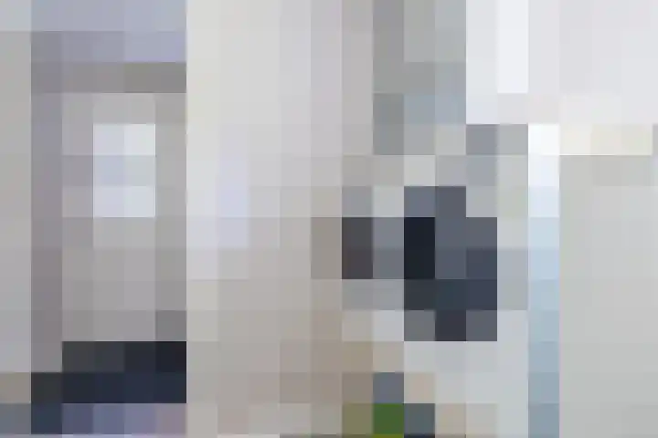 Eekhoorn 14 Hoogeveen thumbnail 36