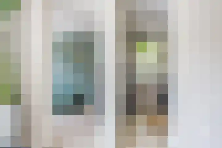 Eekhoorn 14 Hoogeveen thumbnail 37