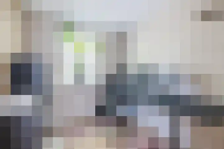 Eekhoorn 14 Hoogeveen thumbnail 38