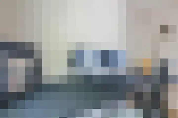 Eekhoorn 14 Hoogeveen thumbnail 39