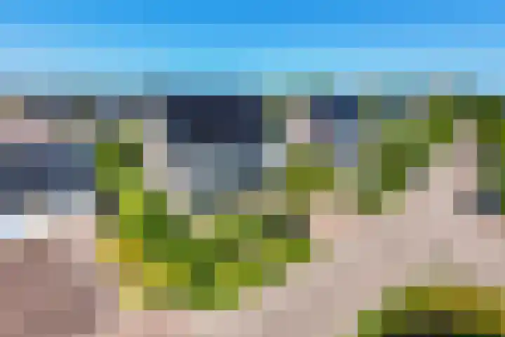 Eekhoorn 14 Hoogeveen thumbnail 4
