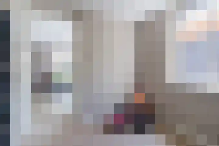 Eekhoorn 14 Hoogeveen thumbnail 42