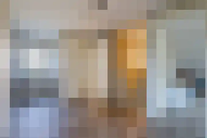 Eekhoorn 14 Hoogeveen thumbnail 45