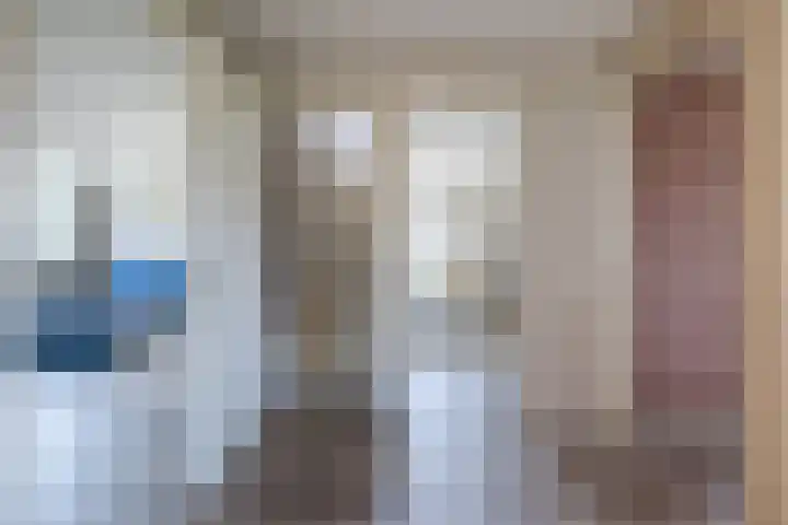Eekhoorn 14 Hoogeveen thumbnail 47