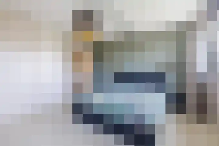 Eekhoorn 14 Hoogeveen thumbnail 52