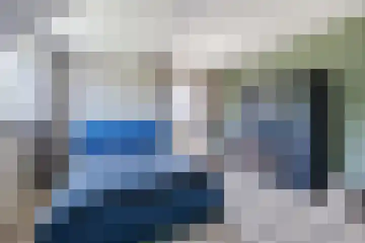 Eekhoorn 14 Hoogeveen thumbnail 54