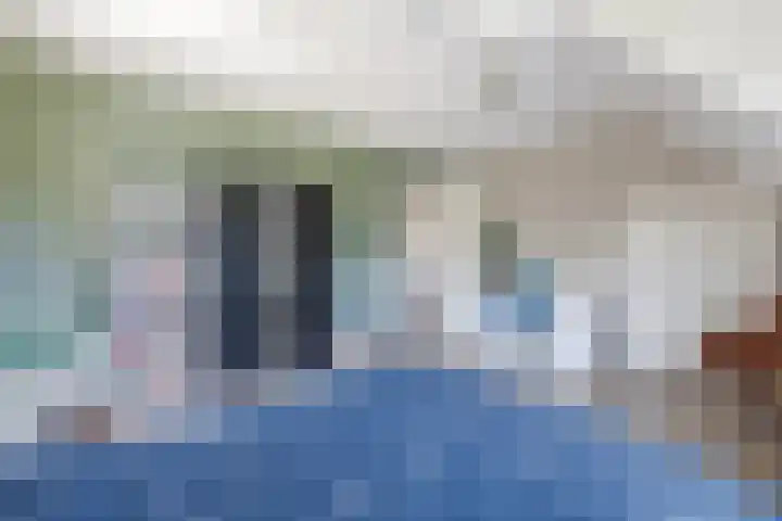 Eekhoorn 14 Hoogeveen thumbnail 55
