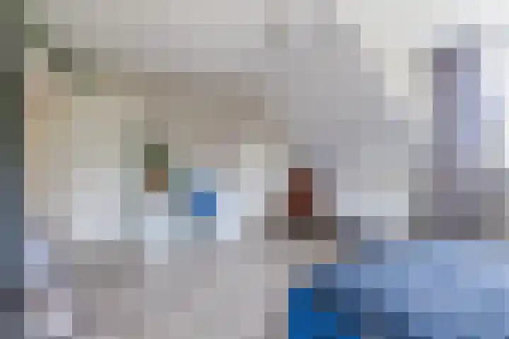 Eekhoorn 14 Hoogeveen thumbnail 56