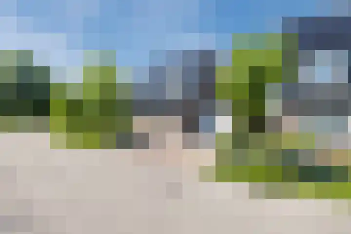 Eekhoorn 14 Hoogeveen thumbnail 6
