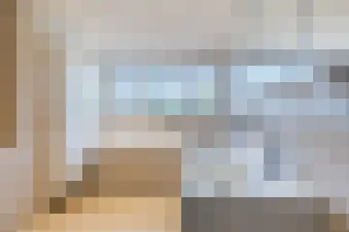 Eekhoorn 14 Hoogeveen thumbnail 63
