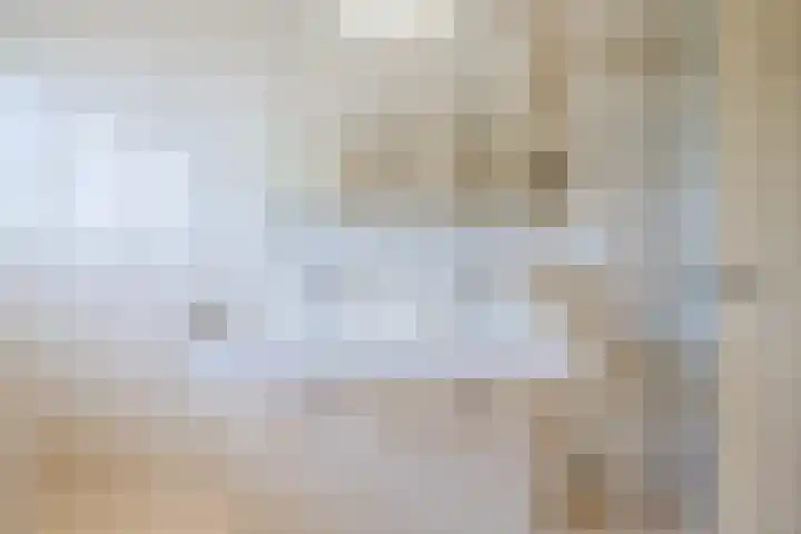 Eekhoorn 14 Hoogeveen thumbnail 64