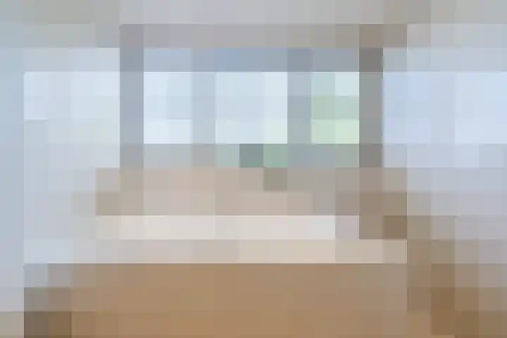 Eekhoorn 14 Hoogeveen thumbnail 65