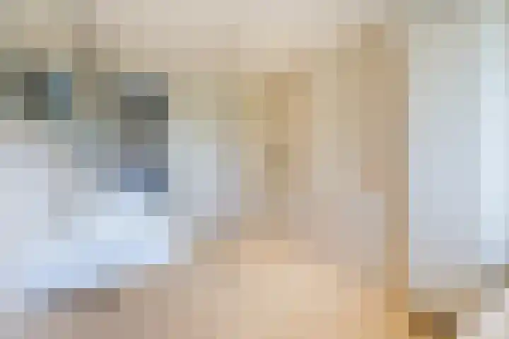 Eekhoorn 14 Hoogeveen thumbnail 66