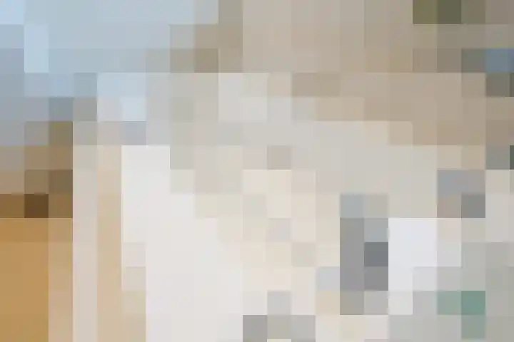 Eekhoorn 14 Hoogeveen thumbnail 67