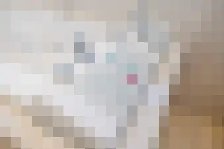 Eekhoorn 14 Hoogeveen thumbnail 68
