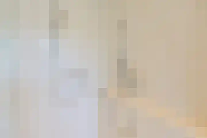 Eekhoorn 14 Hoogeveen thumbnail 69
