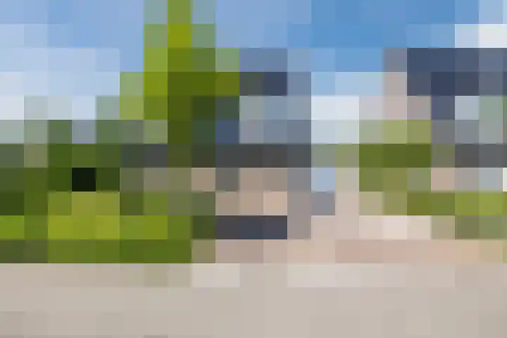 Eekhoorn 14 Hoogeveen thumbnail 7