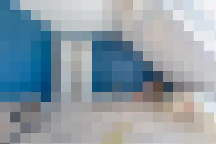 Eekhoorn 14 Hoogeveen thumbnail 77