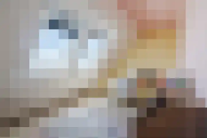 Eekhoorn 14 Hoogeveen thumbnail 78