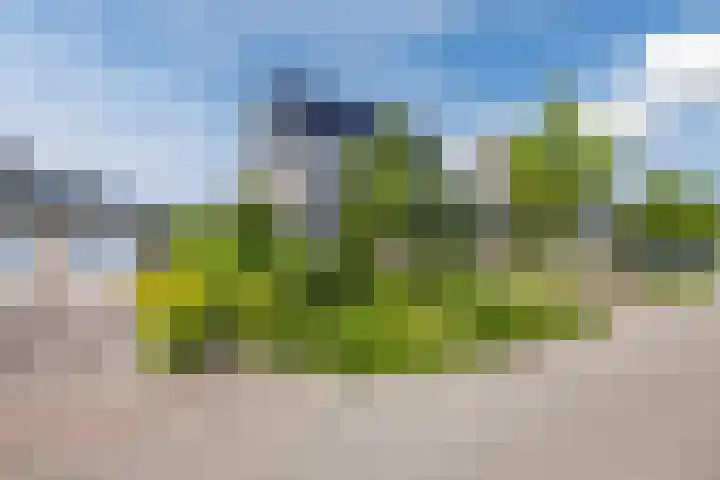 Eekhoorn 14 Hoogeveen thumbnail 8