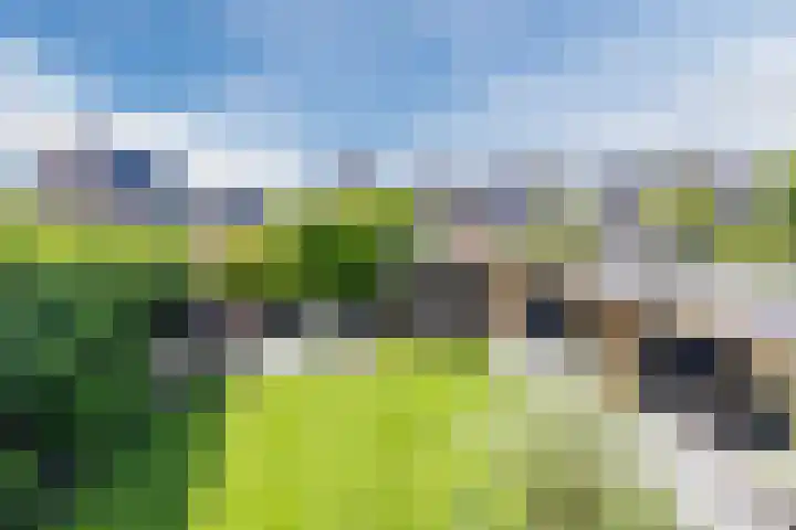 Eekhoorn 14 Hoogeveen thumbnail 80
