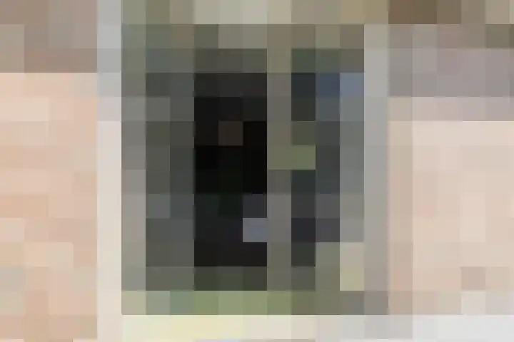 Eekhoorn 14 Hoogeveen thumbnail 81