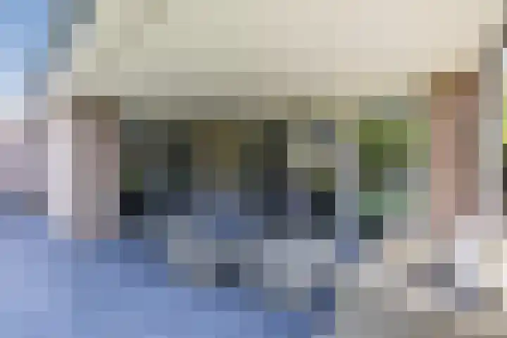 Eekhoorn 14 Hoogeveen thumbnail 83