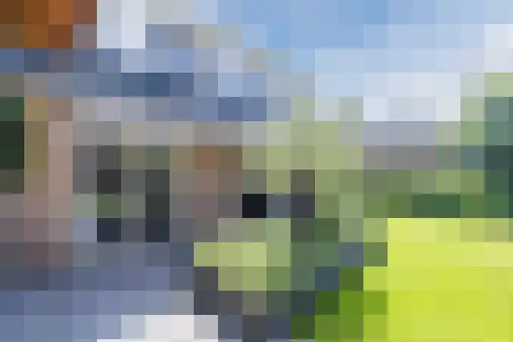 Eekhoorn 14 Hoogeveen thumbnail 84